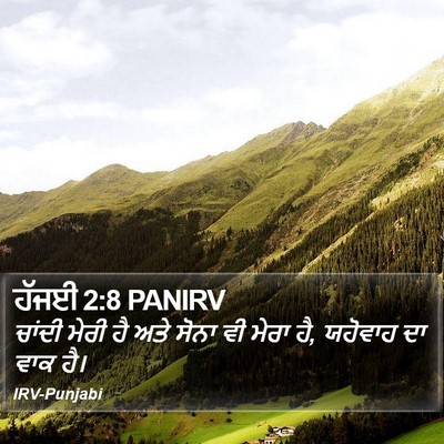 ਹੱਜਈ 2:8 PANIRV Bible Verse Image