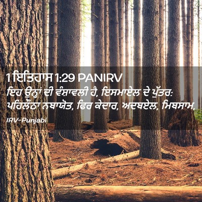 Picture 02 - 1 ਇਤਿਹਾਸ 1:29 PANIRV - ਇਹ ਉਨ੍ਹਾਂ ਦੀ - Bible Verse Picture
