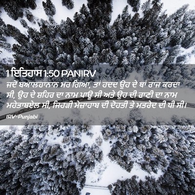 Picture 02 - 1 ਇਤਿਹਾਸ 1:50 PANIRV - ਜਦੋਂ ਬਆਲਹਾਨਾਨ ਮਰ - Bible Verse Picture
