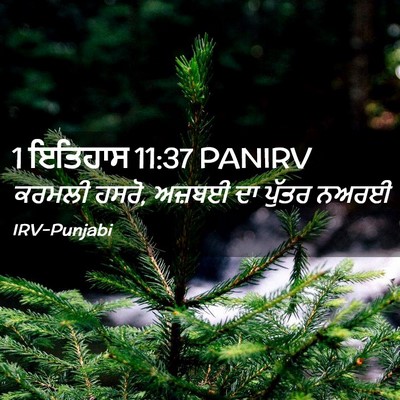 Picture 02 - 1 ਇਤਿਹਾਸ 11:37 PANIRV - ਕਰਮਲੀ ਹਸਰੋ, ਅਜ਼ਬਈ - Bible Verse Picture