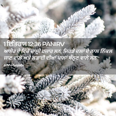 Picture 02 - 1 ਇਤਿਹਾਸ 12:36 PANIRV - ਆਸ਼ੇਰ ਦੇ ਵਿੱਚੋਂ - Bible Verse Picture