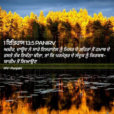 Picture 02 - 1 ਇਤਿਹਾਸ 13:5 PANIRV - ਅਖ਼ੀਰ, ਦਾਊਦ ਨੇ ਸਾਰੇ - Bible Verse Picture
