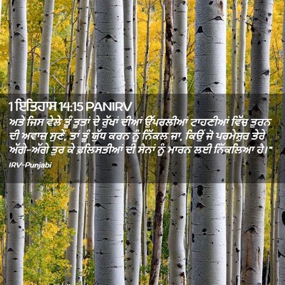 Picture 02 - 1 ਇਤਿਹਾਸ 14:15 PANIRV - ਅਤੇ ਜਿਸ ਵੇਲੇ ਤੂੰ - Bible Verse Picture
