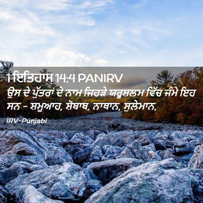 Picture 02 - 1 ਇਤਿਹਾਸ 14:4 PANIRV - ਉਸ ਦੇ ਪੁੱਤਰਾਂ ਦੇ - Bible Verse Picture