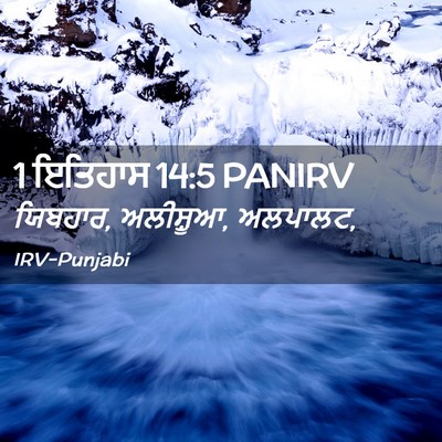 Picture 02 - 1 ਇਤਿਹਾਸ 14:5 PANIRV - ਯਿਬਹਾਰ, ਅਲੀਸ਼ੂਆ, - Bible Verse Picture