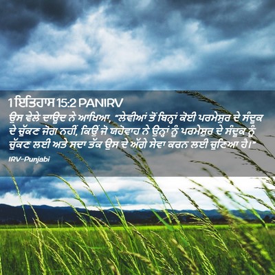 Picture 02 - 1 ਇਤਿਹਾਸ 15:2 PANIRV - ਉਸ ਵੇਲੇ ਦਾਊਦ ਨੇ - Bible Verse Picture