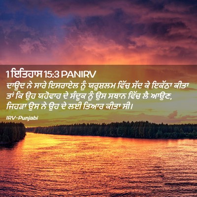 Picture 02 - 1 ਇਤਿਹਾਸ 15:3 PANIRV - ਦਾਊਦ ਨੇ ਸਾਰੇ - Bible Verse Picture