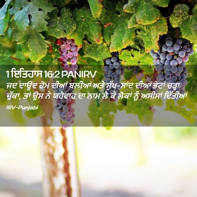 Picture 02 - 1 ਇਤਿਹਾਸ 16:2 PANIRV - ਜਦ ਦਾਊਦ ਹੋਮ ਦੀਆਂ - Bible Verse Picture