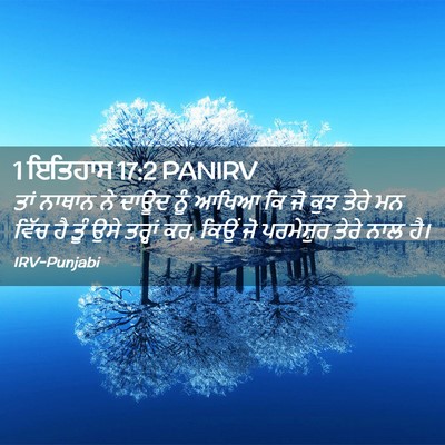 Picture 02 - 1 ਇਤਿਹਾਸ 17:2 PANIRV - ਤਾਂ ਨਾਥਾਨ ਨੇ ਦਾਊਦ - Bible Verse Picture