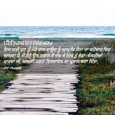 Picture 02 - 1 ਇਤਿਹਾਸ 17:7 PANIRV - ਇਸ ਲਈ ਹੁਣ ਤੂੰ ਮੇਰੇ - Bible Verse Picture