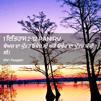 Picture 02 - 1 ਇਤਿਹਾਸ 2:12 PANIRV - ਬੋਅਜ਼ ਦਾ ਪੁੱਤਰ - Bible Verse Picture