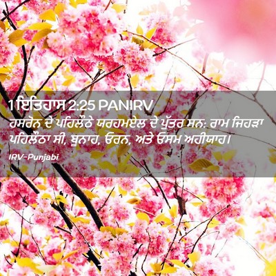 Picture 02 - 1 ਇਤਿਹਾਸ 2:25 PANIRV - ਹਸਰੋਨ ਦੇ ਪਹਿਲੌਠੇ - Bible Verse Picture