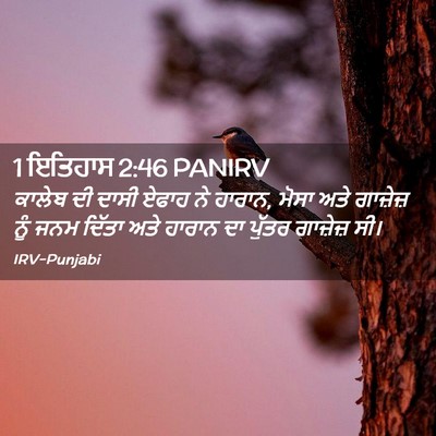 Picture 02 - 1 ਇਤਿਹਾਸ 2:46 PANIRV - ਕਾਲੇਬ ਦੀ ਦਾਸੀ ਏਫਾਹ - Bible Verse Picture