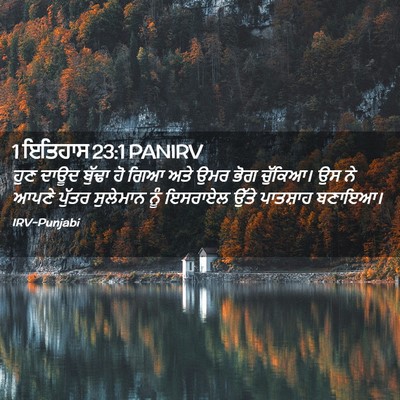 Picture 02 - 1 ਇਤਿਹਾਸ 23:1 PANIRV - ਹੁਣ ਦਾਊਦ ਬੁੱਢਾ ਹੋ - Bible Verse Picture