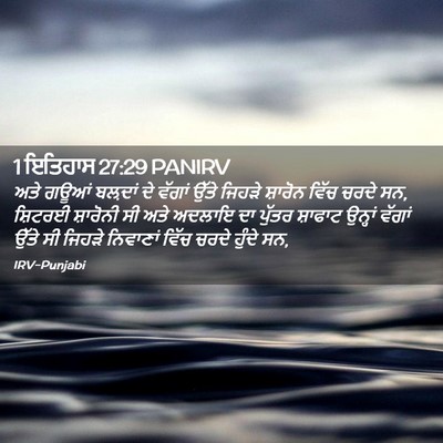 Picture 02 - 1 ਇਤਿਹਾਸ 27:29 PANIRV - ਅਤੇ ਗਊਆਂ ਬਲ਼ਦਾਂ ਦੇ - Bible Verse Picture