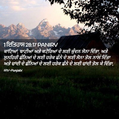 Picture 02 - 1 ਇਤਿਹਾਸ 28:17 PANIRV - ਕਾਂਟਿਆਂ, ਬਾਟੀਆਂ - Bible Verse Picture