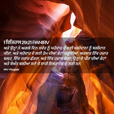 Picture 02 - 1 ਇਤਿਹਾਸ 29:21 PANIRV - ਅਤੇ ਉਨ੍ਹਾਂ ਨੇ ਅਗਲੇ - Bible Verse Picture