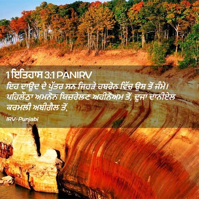 Picture 02 - 1 ਇਤਿਹਾਸ 3:1 PANIRV - ਇਹ ਦਾਊਦ ਦੇ ਪੁੱਤਰ ਸਨ - Bible Verse Picture