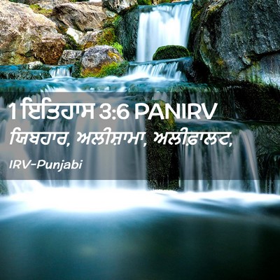 Picture 02 - 1 ਇਤਿਹਾਸ 3:6 PANIRV - ਯਿਬਹਾਰ, ਅਲੀਸ਼ਾਮਾ, - Bible Verse Picture