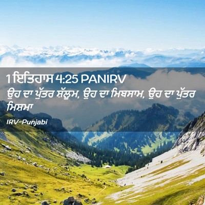 Picture 02 - 1 ਇਤਿਹਾਸ 4:25 PANIRV - ਉਹ ਦਾ ਪੁੱਤਰ ਸ਼ੱਲੂਮ, - Bible Verse Picture