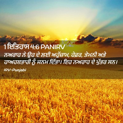 Picture 02 - 1 ਇਤਿਹਾਸ 4:6 PANIRV - ਨਅਰਾਹ ਨੇ ਉਹ ਦੇ ਲਈ - Bible Verse Picture