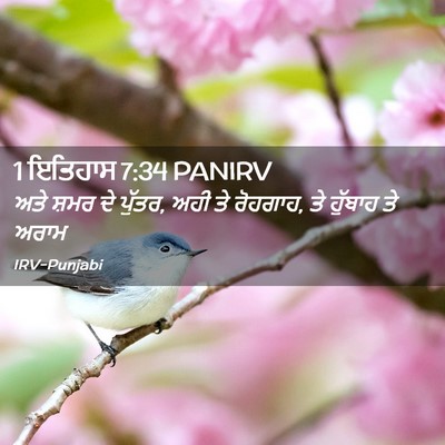 Picture 02 - 1 ਇਤਿਹਾਸ 7:34 PANIRV - ਅਤੇ ਸ਼ਮਰ ਦੇ ਪੁੱਤਰ, - Bible Verse Picture