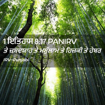 Picture 02 - 1 ਇਤਿਹਾਸ 8:17 PANIRV - ਤੇ ਜ਼ਬਦਯਾਹ ਤੇ - Bible Verse Picture