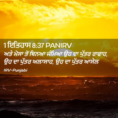 Picture 02 - 1 ਇਤਿਹਾਸ 8:37 PANIRV - ਅਤੇ ਮੋਸਾ ਤੋਂ ਬਿਨਆ - Bible Verse Picture