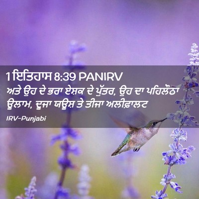 Picture 02 - 1 ਇਤਿਹਾਸ 8:39 PANIRV - ਅਤੇ ਉਹ ਦੇ ਭਰਾ ਏਸ਼ਕ - Bible Verse Picture
