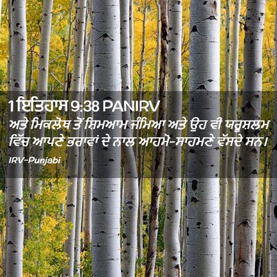 Picture 02 - 1 ਇਤਿਹਾਸ 9:38 PANIRV - ਅਤੇ ਮਿਕਲੋਥ ਤੋਂ - Bible Verse Picture