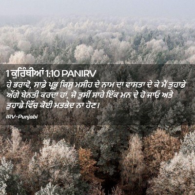 Picture 02 - 1 ਕੁਰਿੰਥੀਆਂ 1:10 PANIRV - ਹੇ ਭਰਾਵੋ, ਸਾਡੇ - Bible Verse Picture
