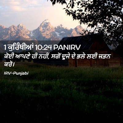 Picture 02 - 1 ਕੁਰਿੰਥੀਆਂ 10:24 PANIRV - ਕੋਈ ਆਪਣੇ ਹੀ ਨਹੀਂ, - Bible Verse Picture