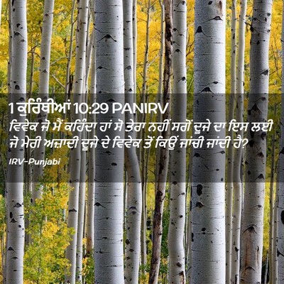 Picture 02 - 1 ਕੁਰਿੰਥੀਆਂ 10:29 PANIRV - ਵਿਵੇਕ ਜੋ ਮੈਂ - Bible Verse Picture