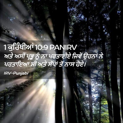 Picture 02 - 1 ਕੁਰਿੰਥੀਆਂ 10:9 PANIRV - ਅਤੇ ਅਸੀਂ ਪ੍ਰਭੂ ਨੂੰ - Bible Verse Picture