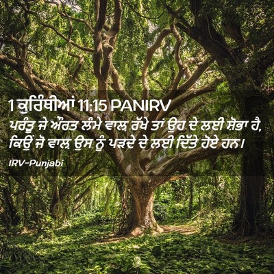 Picture 02 - 1 ਕੁਰਿੰਥੀਆਂ 11:15 PANIRV - ਪਰੰਤੂ ਜੇ ਔਰਤ ਲੰਮੇ - Bible Verse Picture