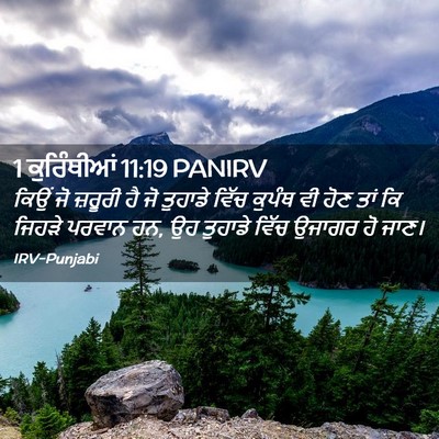 Picture 02 - 1 ਕੁਰਿੰਥੀਆਂ 11:19 PANIRV - ਕਿਉਂ ਜੋ ਜ਼ਰੂਰੀ ਹੈ - Bible Verse Picture