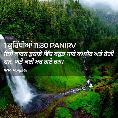 Picture 02 - 1 ਕੁਰਿੰਥੀਆਂ 11:30 PANIRV - ਇਸੇ ਕਾਰਨ ਤੁਹਾਡੇ - Bible Verse Picture