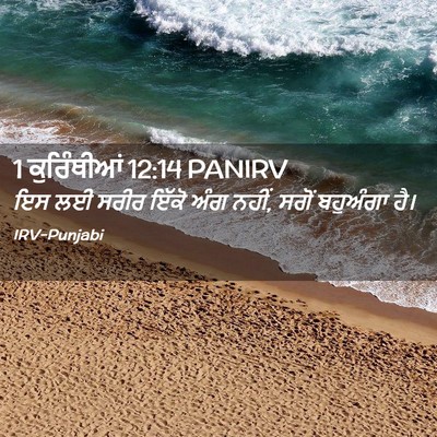 Picture 02 - 1 ਕੁਰਿੰਥੀਆਂ 12:14 PANIRV - ਇਸ ਲਈ ਸਰੀਰ ਇੱਕੋ ਅੰਗ - Bible Verse Picture