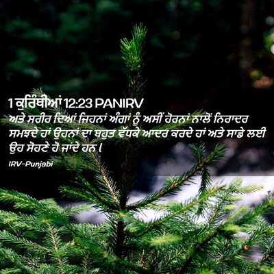 Picture 02 - 1 ਕੁਰਿੰਥੀਆਂ 12:23 PANIRV - ਅਤੇ ਸਰੀਰ ਦਿਆਂ - Bible Verse Picture