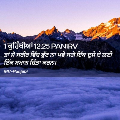 Picture 02 - 1 ਕੁਰਿੰਥੀਆਂ 12:25 PANIRV - ਤਾਂ ਜੋ ਸਰੀਰ ਵਿੱਚ - Bible Verse Picture