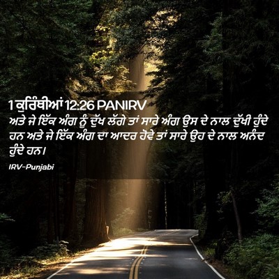 Picture 02 - 1 ਕੁਰਿੰਥੀਆਂ 12:26 PANIRV - ਅਤੇ ਜੇ ਇੱਕ ਅੰਗ ਨੂੰ - Bible Verse Picture