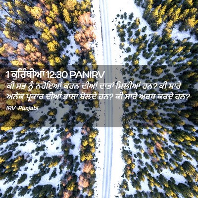 Picture 02 - 1 ਕੁਰਿੰਥੀਆਂ 12:30 PANIRV - ਕੀ ਸਭ ਨੂੰ ਨਰੋਇਆਂ - Bible Verse Picture