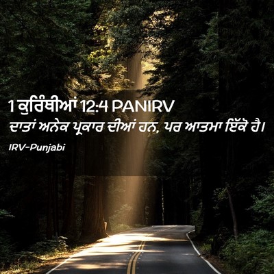 Picture 02 - 1 ਕੁਰਿੰਥੀਆਂ 12:4 PANIRV - ਦਾਤਾਂ ਅਨੇਕ ਪ੍ਰਕਾਰ - Bible Verse Picture
