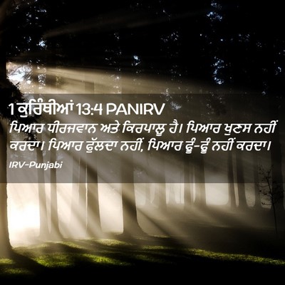 Picture 02 - 1 ਕੁਰਿੰਥੀਆਂ 13:4 PANIRV - ਪਿਆਰ ਧੀਰਜਵਾਨ ਅਤੇ - Bible Verse Picture