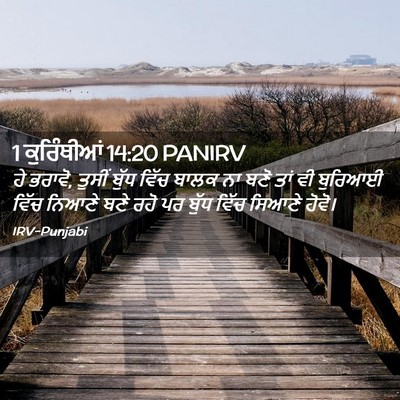Picture 02 - 1 ਕੁਰਿੰਥੀਆਂ 14:20 PANIRV - ਹੇ ਭਰਾਵੋ, ਤੁਸੀਂ - Bible Verse Picture
