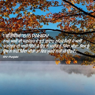 Picture 02 - 1 ਕੁਰਿੰਥੀਆਂ 15:15 PANIRV - ਨਾਲੇ ਅਸੀਂ ਵੀ - Bible Verse Picture