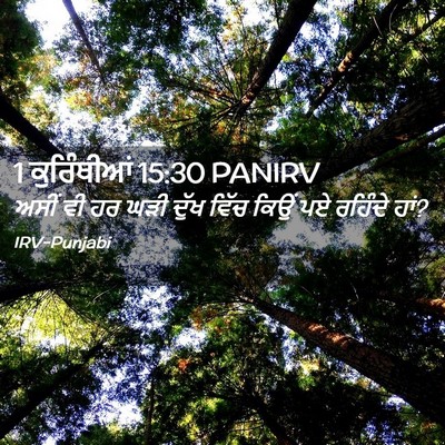 Picture 02 - 1 ਕੁਰਿੰਥੀਆਂ 15:30 PANIRV - ਅਸੀਂ ਵੀ ਹਰ ਘੜੀ ਦੁੱਖ - Bible Verse Picture