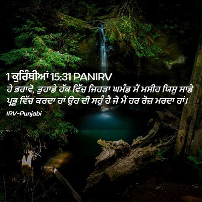 Picture 02 - 1 ਕੁਰਿੰਥੀਆਂ 15:31 PANIRV - ਹੇ ਭਰਾਵੋ, ਤੁਹਾਡੇ - Bible Verse Picture