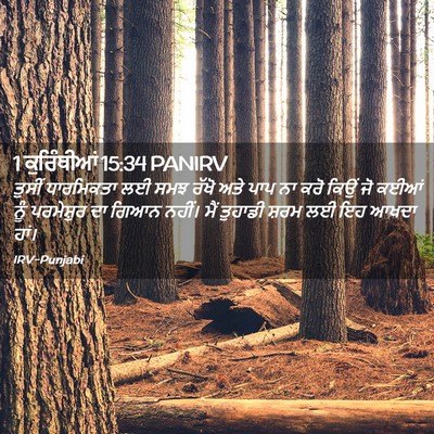 Picture 02 - 1 ਕੁਰਿੰਥੀਆਂ 15:34 PANIRV - ਤੁਸੀਂ ਧਾਰਮਿਕਤਾ ਲਈ - Bible Verse Picture