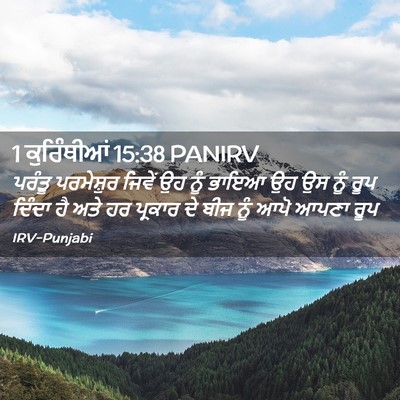 Picture 02 - 1 ਕੁਰਿੰਥੀਆਂ 15:38 PANIRV - ਪਰੰਤੂ ਪਰਮੇਸ਼ੁਰ - Bible Verse Picture